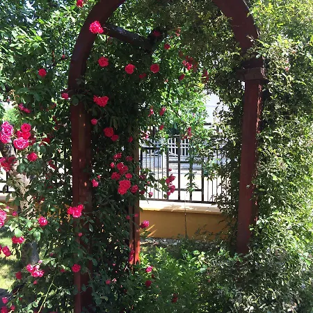 Patricia Gæstehus 3*