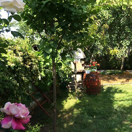 Gæstehus Patricia Eforie Nord