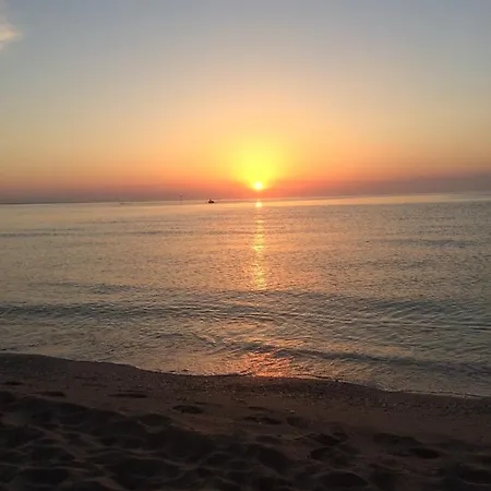 Patricia Konukevi 3*