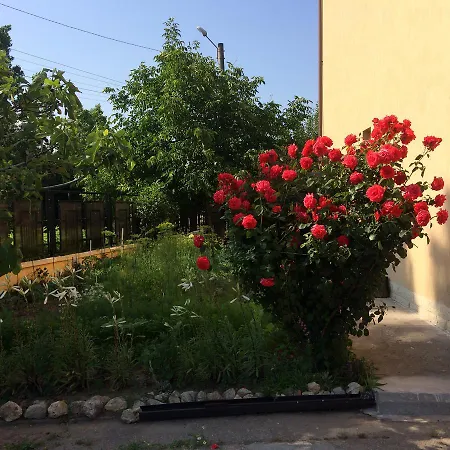 Konukevi Patricia Eforie Nord