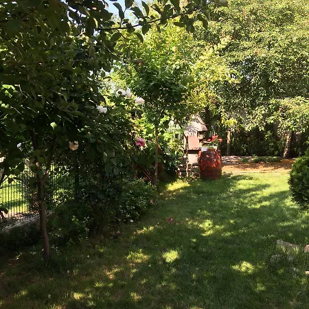 Patricia Konukevi 3*